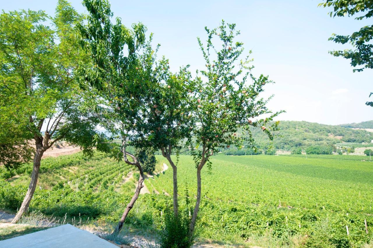 B&B Ai Filari Baone Εξωτερικό φωτογραφία